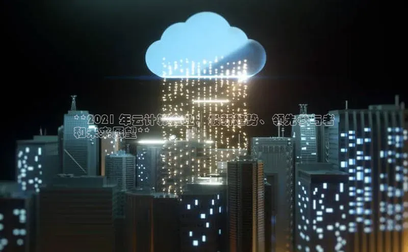 凯捷娱乐百度搜索资源平台**2021 年云计算企业：最新趋势、领先参与者
和未来展望**