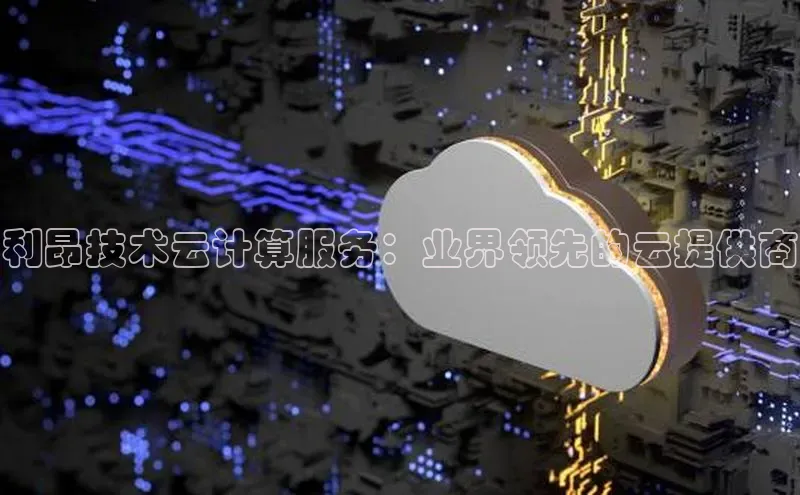 凯捷娱乐猫眼利昂技术云计算服务：业界领先的云提供商